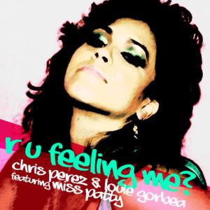 ดาวน์โหลดและฟังเพลง R U Feeling Me พร้อมเนื้อเพลงจาก Chris Prez