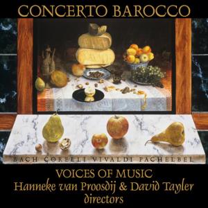 收聽Voices of Music的Vivace - JS Bach - Concerto in D Minor for Two Violins and Strings BWV 1043歌詞歌曲