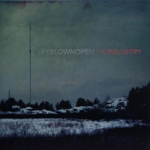 ดาวน์โหลดและฟังเพลง Where I Stand พร้อมเนื้อเพลงจาก Life Blown Open