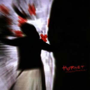 ดาวน์โหลดและฟังเพลง Fallout พร้อมเนื้อเพลงจาก Hornet