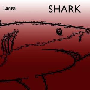 收聽Laera的Shark歌詞歌曲