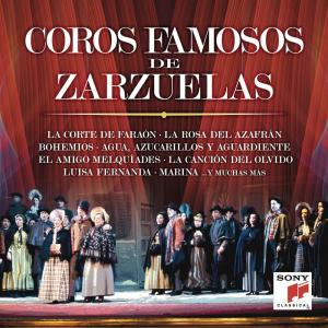ดาวน์โหลดและฟังเพลง Gigantes y Cabezudos: Coro de Repatriados พร้อมเนื้อเพลงจาก Orfeón Donostiarra