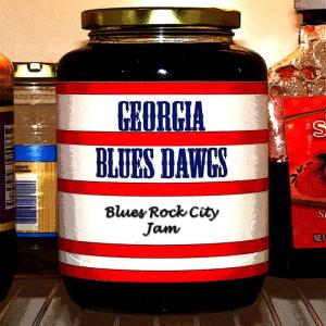 ดาวน์โหลดและฟังเพลง I Can't Refuse (Instrumental Version) พร้อมเนื้อเพลงจาก Georgia Blues Dawgs