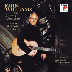 收聽John Williams的Arpeggione Sonata in A Minor, D. 821 (Arr. J. Williams for Guitar and Orchestra): III. Allegretto歌詞歌曲