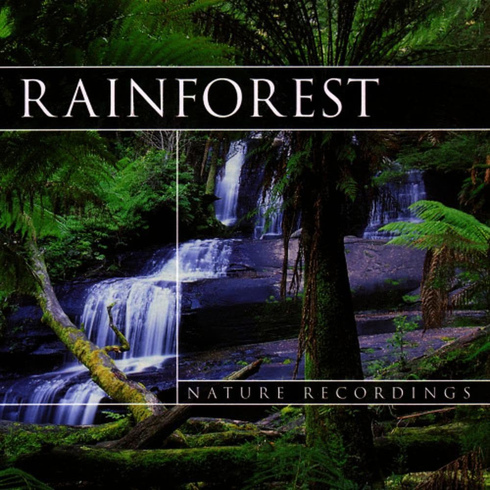 Rainforest 3