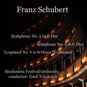 ดาวน์โหลดและฟังเพลง Symphony No. 8 in B minor (Unfinished): 1. Allegro moderato พร้อมเนื้อเพลงจาก Simfonieta Festival Orchestra