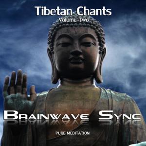 ดาวน์โหลดและฟังเพลง High Buddhist Chant (Chanting Audio with Brainwave Entrainment) พร้อมเนื้อเพลงจาก Brainwave-Sync