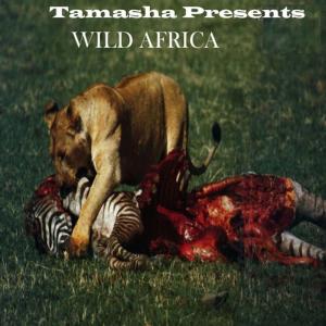 Tamasha的專輯Wild Africa