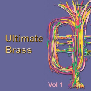 收聽The Williams-Fairey Engineering Band的Euphonium Solo (Caprice)歌詞歌曲