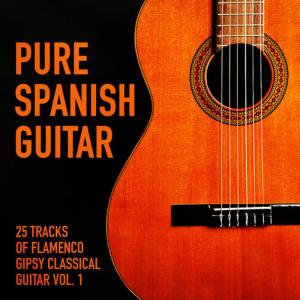 อัลบัม Pure Spanish Guitar, Vol. 1 (25 Tracks of Flamenco Gipsy Classical Guitar) ศิลปิน The Spanish Guitar