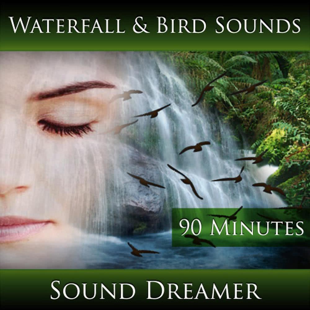 Waterfall and Bird Sounds - 90 Minutes