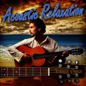 收聽Craig Riley的Tranquil Bach Guitar Interlude歌詞歌曲