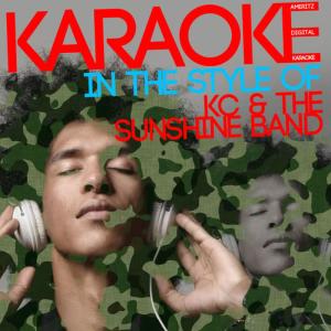 收聽Ameritz Digital Karaoke的Please Don't Go (Karaoke Version)歌詞歌曲