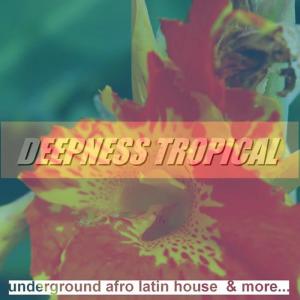 อัลบัม Deepness Tropical: Underground Afro Latin House & More ศิลปิน Various