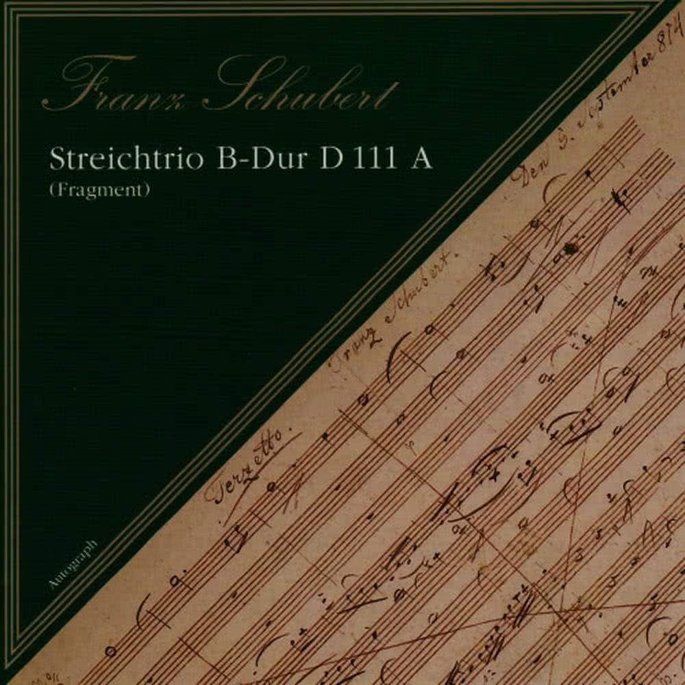 Streichtrio B Dur, D. 111A: II. Aufe dem Strom