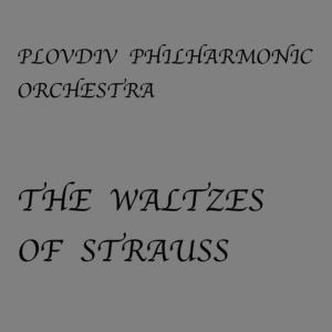 ดาวน์โหลดและฟังเพลง Emperor Waltz, Op. 437 พร้อมเนื้อเพลงจาก Plovdiv Philharmonic Orchestra