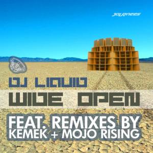 ดาวน์โหลดและฟังเพลง Hit It (Kemek Remix) พร้อมเนื้อเพลงจาก DJ Liquid
