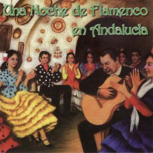 ดาวน์โหลดและฟังเพลง Buler (Fiesta Flamenca) พร้อมเนื้อเพลงจาก José Parrondo