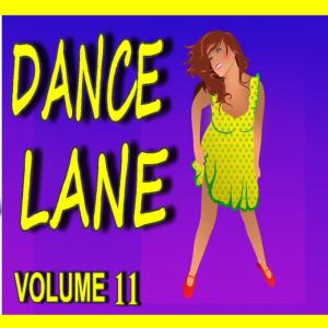 ดาวน์โหลดและฟังเพลง Rookie พร้อมเนื้อเพลงจาก Susan Lewis Band