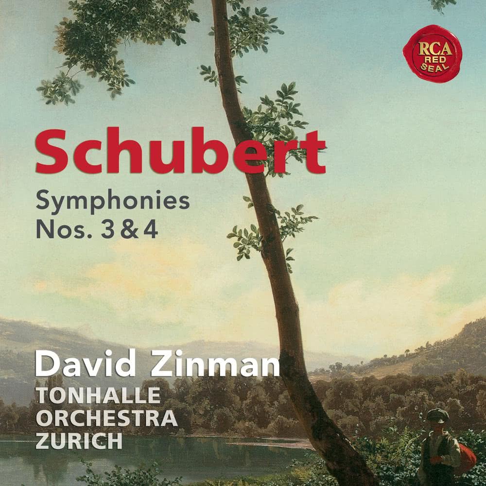 Symphony No. 4 in C Minor, D.417: IV. Allegro