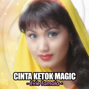 ดาวน์โหลดและฟังเพลง Lilin Lilin Putih พร้อมเนื้อเพลงจาก Evie Tamala