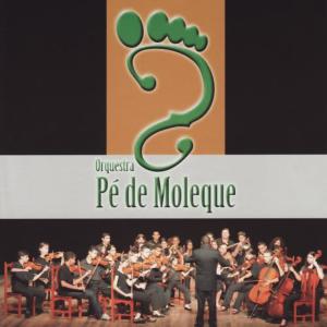 收聽Orquestra Pé de Moleque的What a Wonderful world歌詞歌曲
