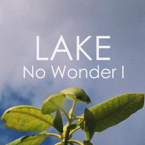 收聽LAKE的No Wonder I歌詞歌曲