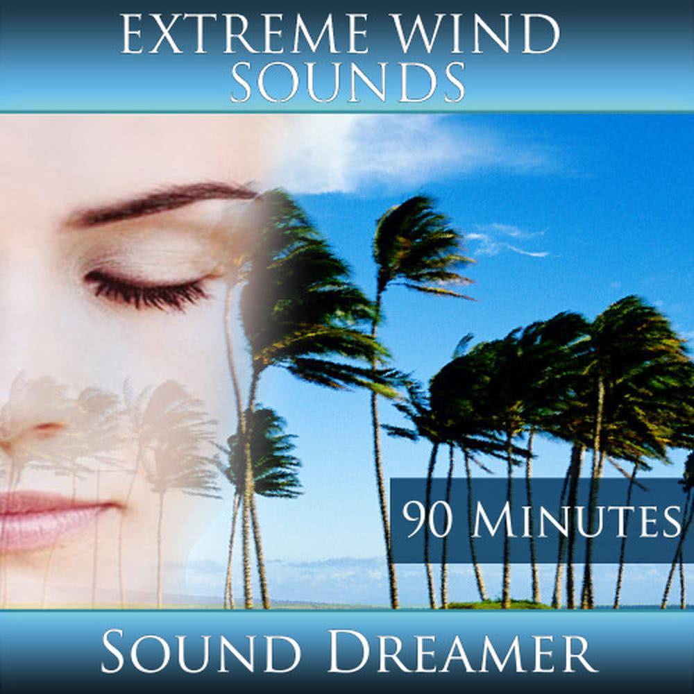 Extreme Wind Sounds - 90 Minutes