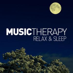 ดาวน์โหลดและฟังเพลง Concerto per Clarinetto: Adagio พร้อมเนื้อเพลงจาก Music Therapy