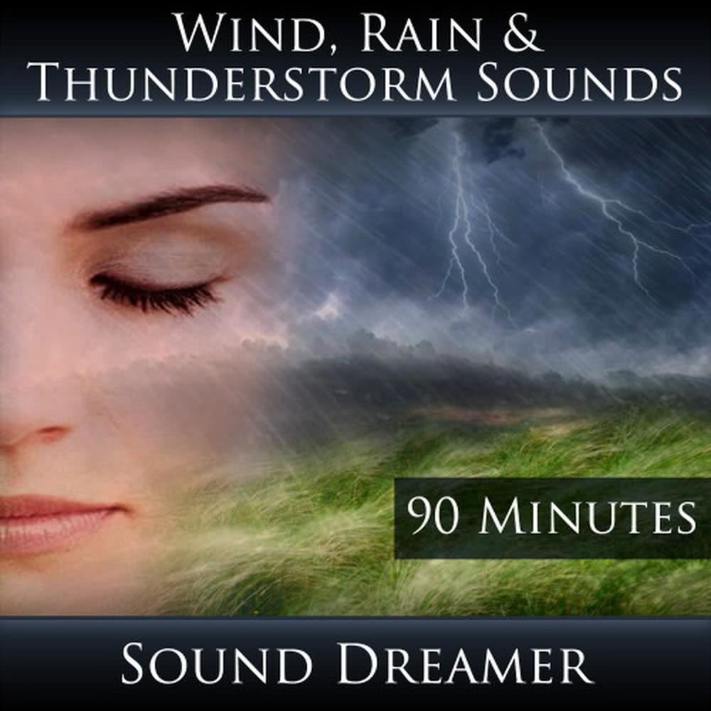 Wind Rain and Thunderstorm Sounds - 90 Minutes