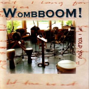 ดาวน์โหลดและฟังเพลง Falling Again พร้อมเนื้อเพลงจาก WombBoom