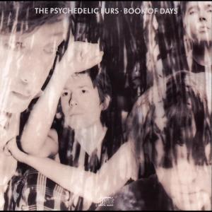 ดาวน์โหลดและฟังเพลง I Don't Mine พร้อมเนื้อเพลงจาก The Psychedelic Furs
