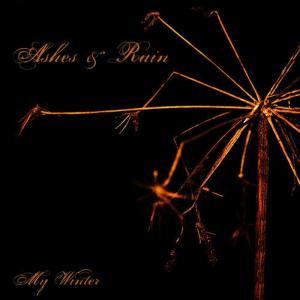 收聽Ashes And Rain的My Winter(Tinny Radio Edit)歌詞歌曲