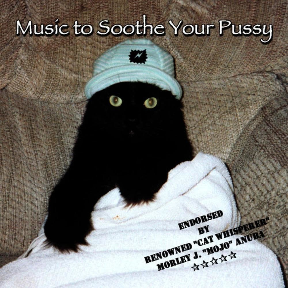 We Are the Pussies