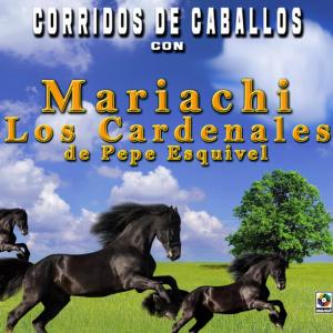 อัลบัม Corridos De Caballos Con ศิลปิน Mariachi Los Cardenales De Pepe Esquivel