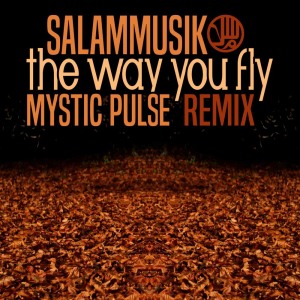 收听Salammusik的The Way You Fly (Jangan Nangis) (Mystic Pulse Remix)歌词歌曲