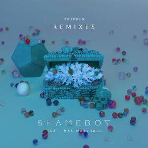 Shameboy的專輯Trippin (Remixes) (Remixes)