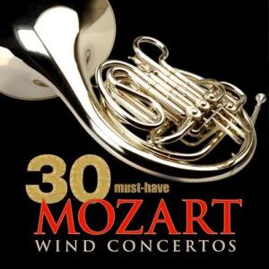 收聽Budapest Wind Ensemble的Wind Serenade, K. 388, Nacht-Musique: Andante歌詞歌曲