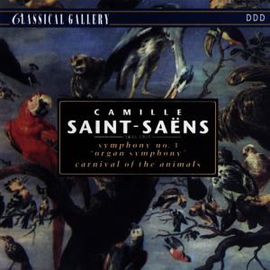 ดาวน์โหลดและฟังเพลง Carnival of the Animals: XIII. The Swan พร้อมเนื้อเพลงจาก Amsterdam Symphony Orchestra