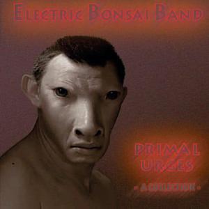 收聽Electric Banana Band的Puberty Wars (Live)歌詞歌曲
