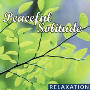 Lifestyles Players的專輯Relaxation - Peaceful Solitude