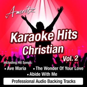 ดาวน์โหลดและฟังเพลง The Wonder Of Your Love (In The Style Of Hillsong) พร้อมเนื้อเพลงจาก Karaoke - Ameritz