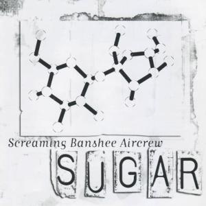 ดาวน์โหลดและฟังเพลง Silence พร้อมเนื้อเพลงจาก Screaming Banshee Aircrew