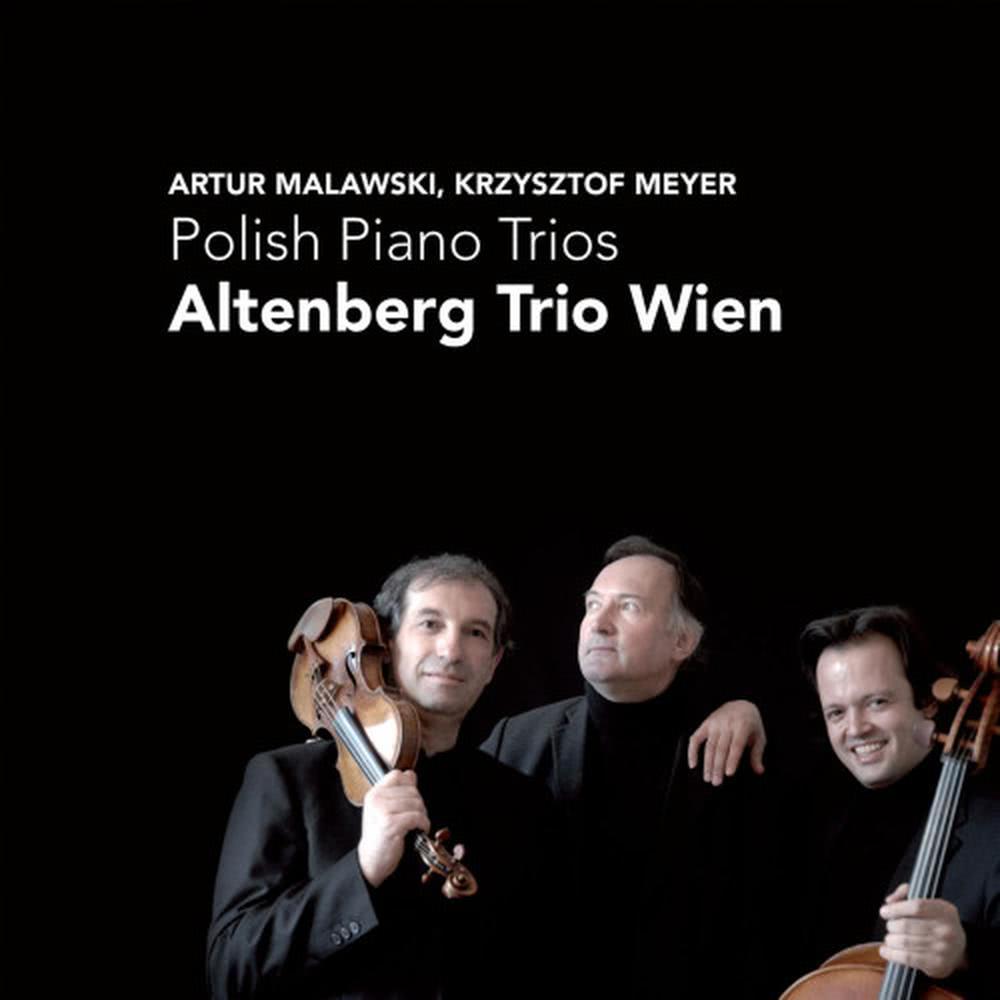 Piano Trio, Op. 50: V. Con moto