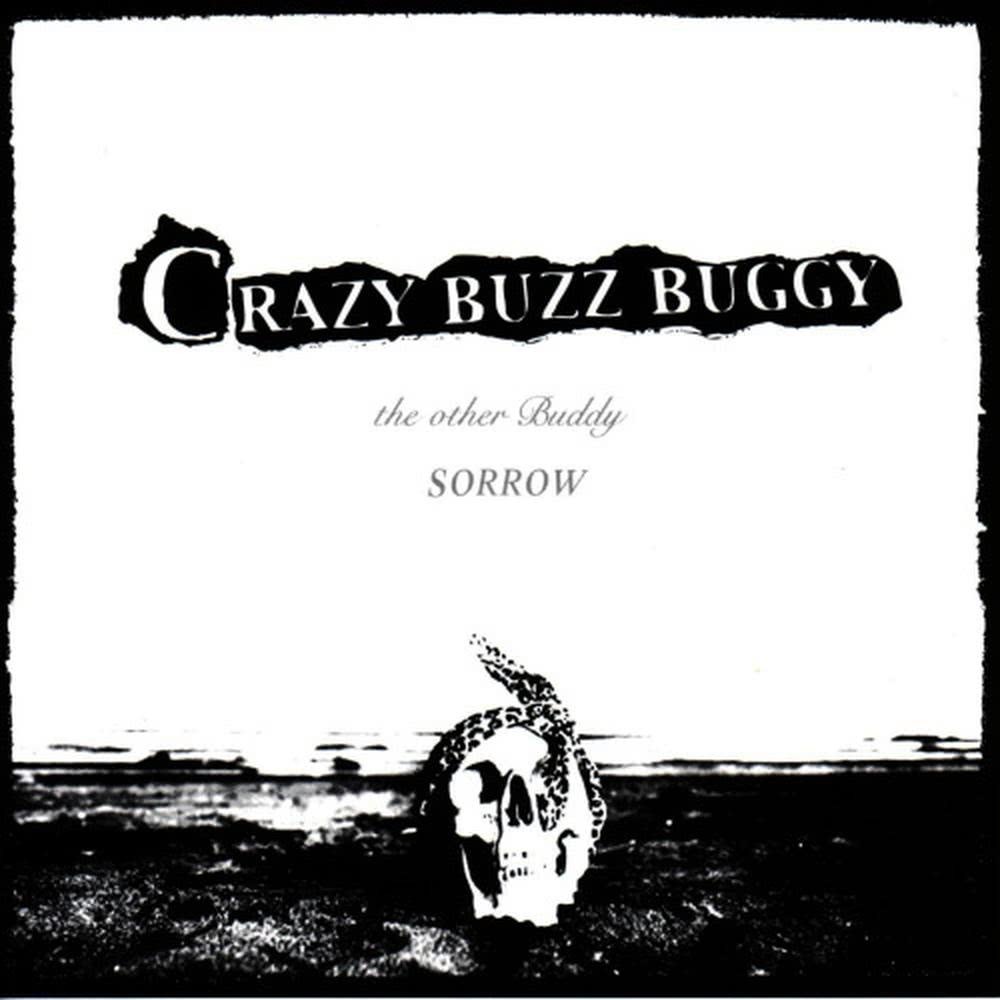 CRAZY BUZZ BUGGY - Remix 2 -