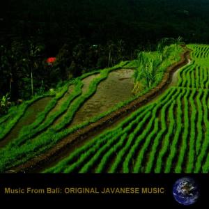 收聽Gamelan Orchestra的Ldr. Lagu歌詞歌曲