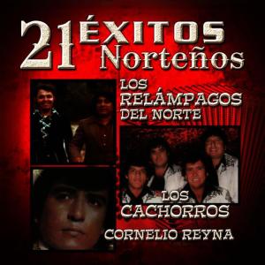 ดาวน์โหลดและฟังเพลง Eso Si Nunca Podras พร้อมเนื้อเพลงจาก Los Relampagos Del Norte