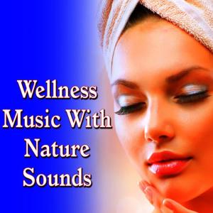 ดาวน์โหลดและฟังเพลง Soothing Musical Theme with Calming Bird Song พร้อมเนื้อเพลงจาก Meditation Zen Master
