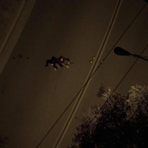 收聽Wait Until Dark的Circus歌詞歌曲