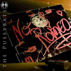 ดาวน์โหลดและฟังเพลง No Romeo พร้อมเนื้อเพลงจาก The Pussybats